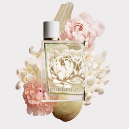 Burberry eau store de toilette damen