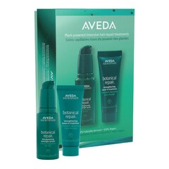 Botanical Repair™ Strenthening mini duo - Set für reparaturbedürftiges Haar, AVEDA