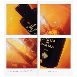 Signatures of the Sun Oud - Eau de Parfum Holzig