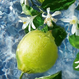 Aqua Allegoria Bergamote Calabria - Eau de Toilette Mini