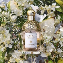 Aqua Allegoria Pera Granita - Eau de Toilette