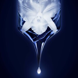 Orchidée Impériale - Das Öl-in-Gel