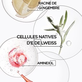 Genesis - Ampoules Cure Anti-Chute Fortifiantes