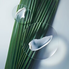 Botanical Repair ™ Intensive Stärkende - Haarmaske Reichhaltig