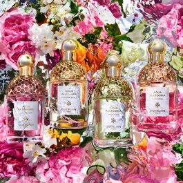 Aqua Allegoria Pamplelune - Eau de Toilette