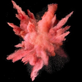 Blush - Blush Makeup