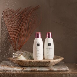 The Ritual of Sakura Shampoo