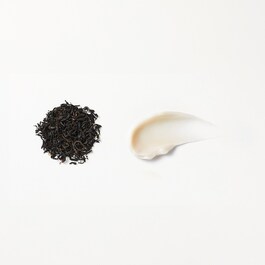 Youth Enhancing Cream with Black Tea - Gesichtscreme mit Schwarztee