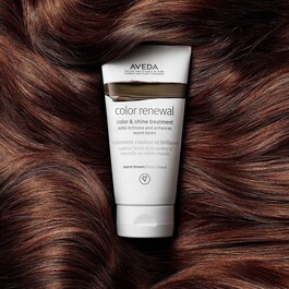 Color Renewal Farb- und Glanz Treatment - Warm Brunette