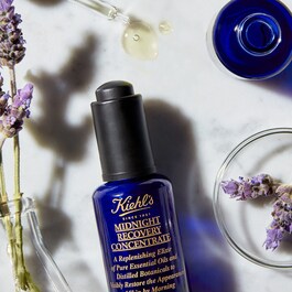 Midnight Recovery Concentrate Oil