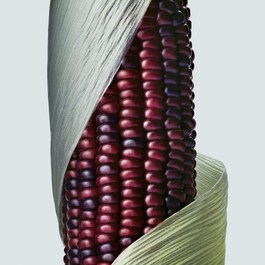 Botanical Repair ™ Intensive Stärkende - Haarmaske Reichhaltig