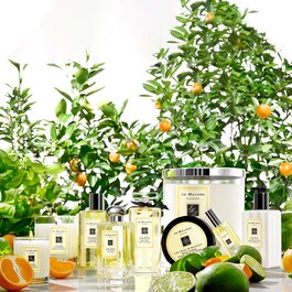 Lime Basil & Mandarin - Diffuser