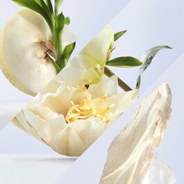 OMNIA CRYSTALLINE Eau d' Toilette