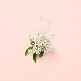 Bloom Eau de Parfum