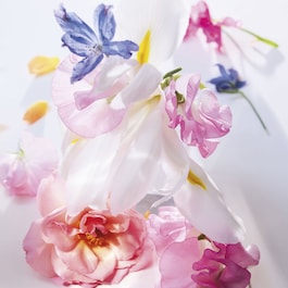 Miss Dior Roller-Pearl - Roll-on Eau de Parfum - frische und blumige Noten