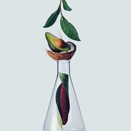 Botanical Repair ™ - Stärkendes Shampoo
