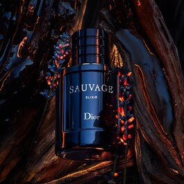 Sauvage - Elixir