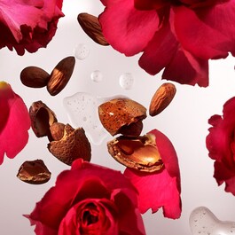 The Ritual of Ayurveda Conditioner