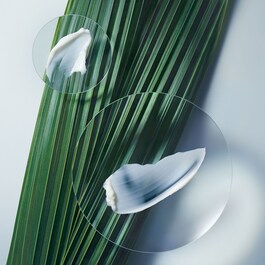 Botanical Repair ™ Intensive Stärkende - Haarmaske Leicht
