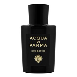 Signatures of the Sun Oud & Spice - Eau de Parfum Würzig Holzi