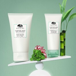 Checks and Balances™ - Frothy Face Wash Reisegröße