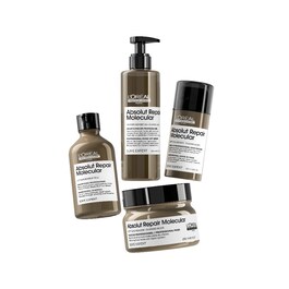 Absolut Repair Molecular - Leave-In
