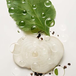 Botanical Repair Bond-Building - Flash Treatment