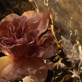 Absolus Allegoria - Santal Royal - Eau de Parfum
