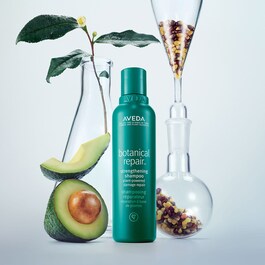 Botanical Repair Shampoo - Reparatur-Shampoo Reisegröße