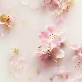 The Ritual of Sakura - Set M Körper & Haus