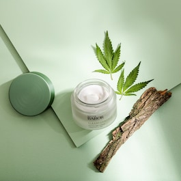 Phyto CBD Cream - Gesichtscreme