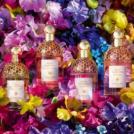 Aqua Allegoria Herba Fresca - Eau de Toilette