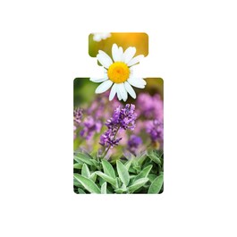 Resurrect Clarifying Facial Toner