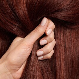 ColorMotion+ - Farbschutzshampoo für coloriertes Haar