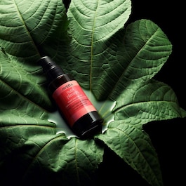 Nutriplenish™ Multi Use - Haaröl
