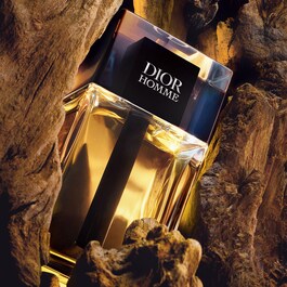 Dior Homme - Eau de Toilette für Herren - Holzige Duftnoten und Chypre-Duftnoten