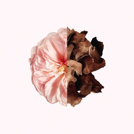 Irresistible Givenchy - Bath and Shower Oil