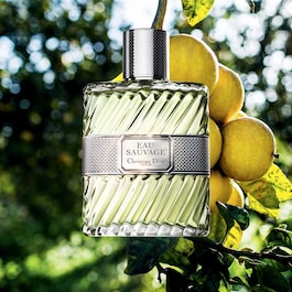 Eau Sauvage - Eau de Toilette für Herren - Frische & sonnige Noten