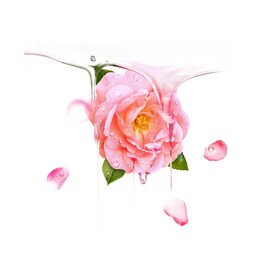UFO™ Mask Bulgarian Rose - Gesichtsmaske