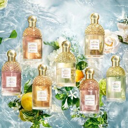 Aqua Allegoria Bergamote Calabria - Eau de Toilette Mini