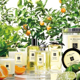 Lime Basil & Mandarin - Body & Hand Wash 