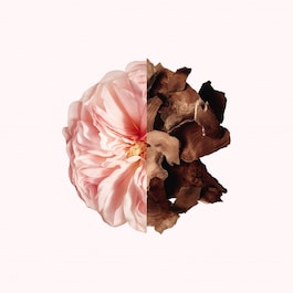 Irresistible Givenchy - Eau de Parfum Refillable