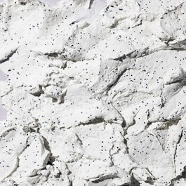 Cookies N Clean - Entgiftende Heilerdemaske
