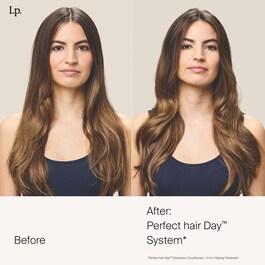 Perfect hair Day 5 in 1 Styling Treatment - 5-in-1-Stylingpflege