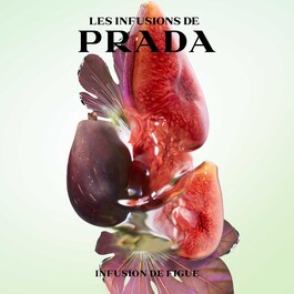 Prada Infusion de Figue Eau de Parfume