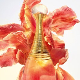 J'adore eau de parfum infinissime - Eau de Parfum - Blumige und holzige Noten