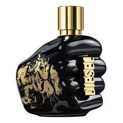 Spririt of the Brave - Eau de Toilette, DIESEL