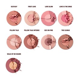 Cheek to Chic - Rouge