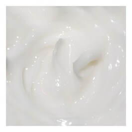 The True Cream Moisturizing Bomb - Feuchtigkeitsspendende Gesichtscreme