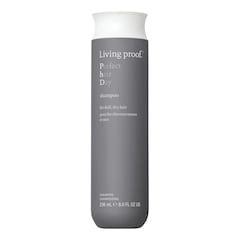 Perfect hair Day Shampoo - Feuchtigkeitsspendendes Shampoo, LIVING PROOF
